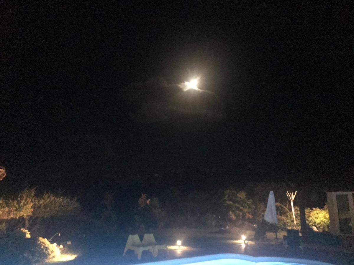 Casal Das Oliveiras Setúbal Exteriör bild
