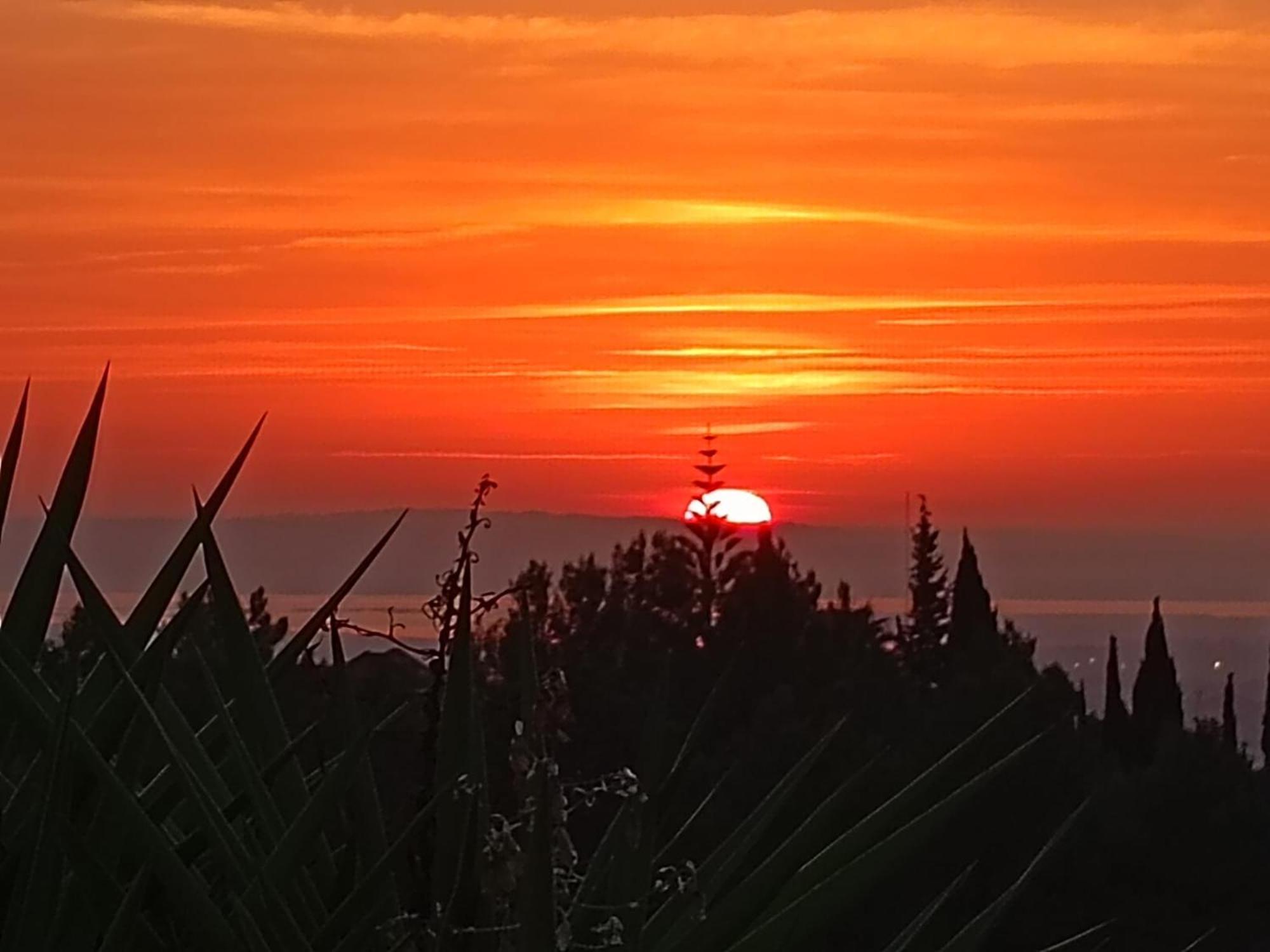 Casal Das Oliveiras Setúbal Exteriör bild