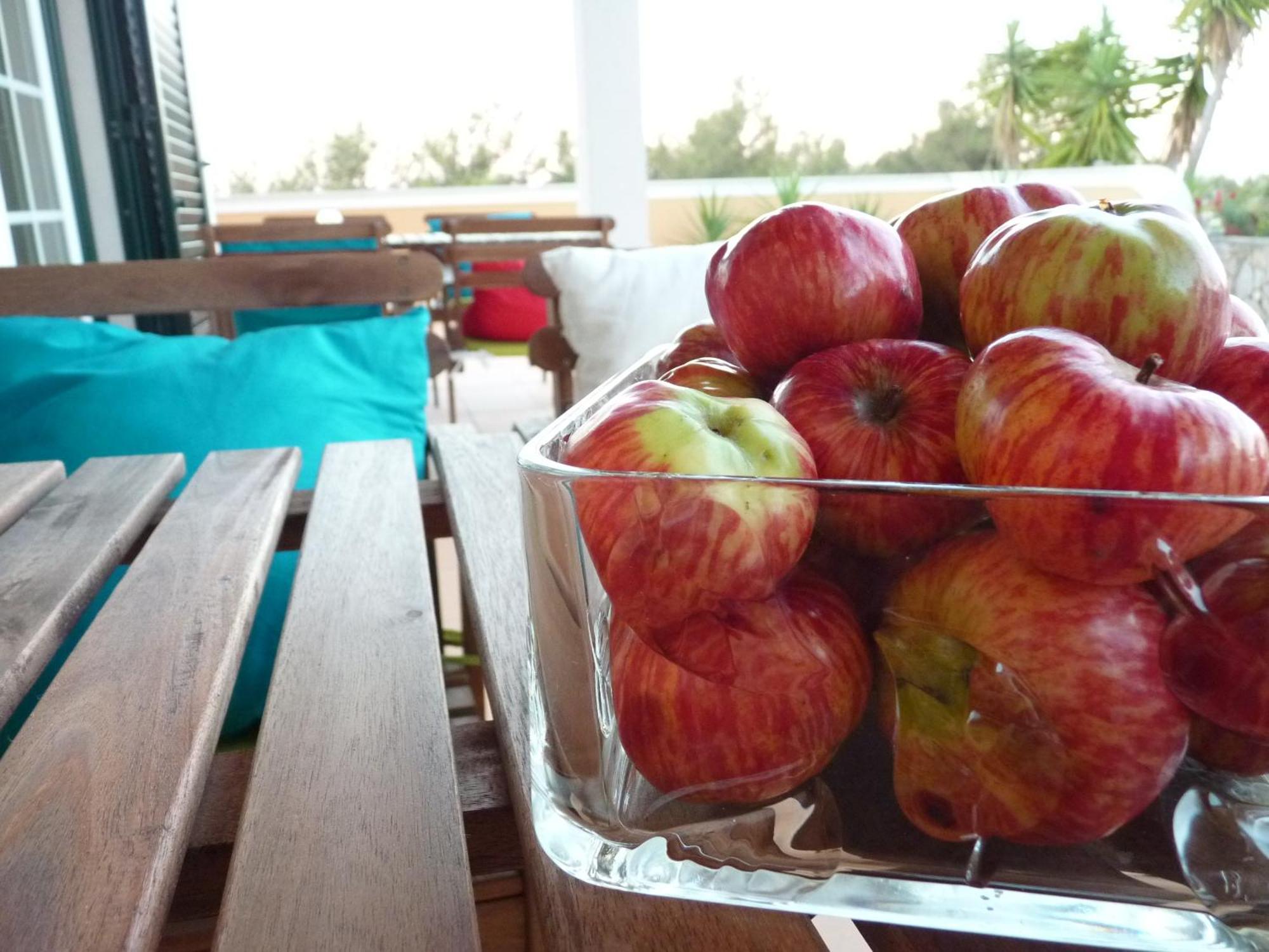 Casal Das Oliveiras Setúbal Exteriör bild