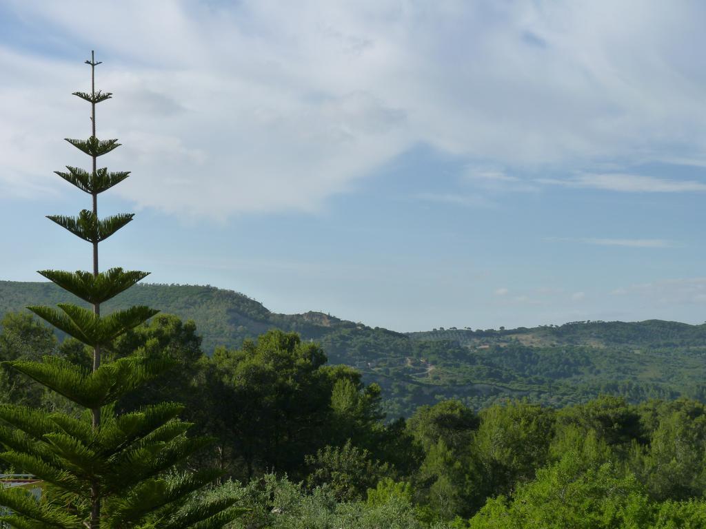 Casal Das Oliveiras Setúbal Exteriör bild